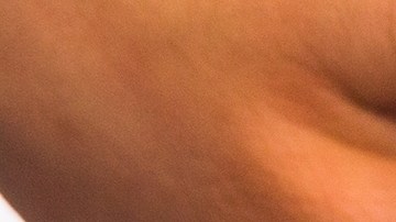 Actualmente, Bosco Factory fabrica helados para supermercados, hoteles y restaurantes, ofreciendo sabores tradicionales y exóticos.