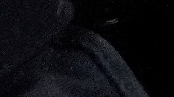 Efraín Zúñiga García operaba supuestamente el último eslabón de la red de tráfico.