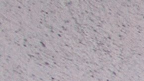 Familias esperan en Ciudad de Guatemala por inmigrantes deportados desde Estados Unidos.