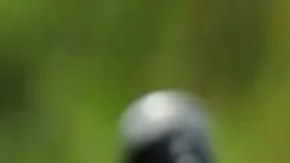 Las FARC se desmovilizaron en 2016, pero guerrilleros disidentes se reorganizaron en otros grupos.