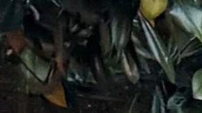 Guardias Nacionales con herramientas para recoger basura en Washington D.C. el 2 de septiembre de 2025.