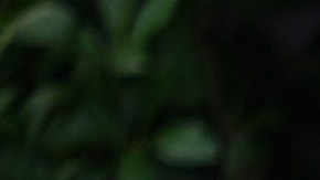 Tras el ataque, el DHS dijo que planea reforzar la seguridad en las instalaciones del ICE en todo el país.