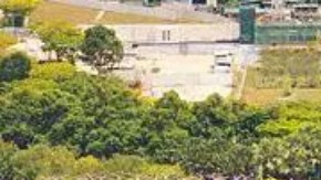 Los famosos Jardines de la Bahía de Singapur combinan la flora tropical con los icónicos "superárboles", que proporcionan un jardín vertical y sombra.