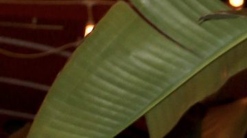 Julián Gil