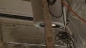 Descubren invernadero de marihuana.