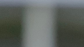 El periodista Mario Guevara transmitía en vivo sobre las fuerzas del orden y las redadas migratorias.