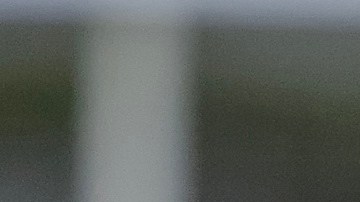 El periodista Mario Guevara transmitía en vivo sobre las fuerzas del orden y las redadas migratorias.