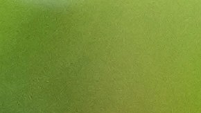 Marco Rubio descartó operaciones militares en territorio de países “amigos” como Ecuador.