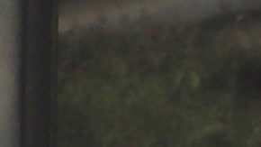 Autoridades aún no determinan la causa del accidente, pero todo indica que una fuga y luego explosión causó el desastre.