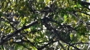 Medios refieren a una antigua publicación en Facebook de la madre de Sanford que indicaba que él sirvió en Irak entre 2004 y 2008.