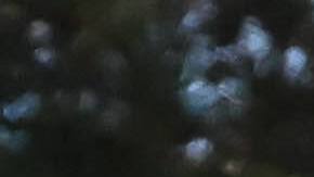 El autor del ataque estuvo en la Marina entre junio de 2004 y junio de 2008, donde fue mecánico y alcanzó el rango de sargento.