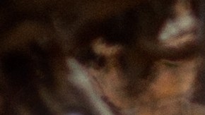 Los números pueden guiarte en esto otoño por el camino de la prosperidad.