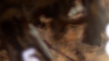 Los números pueden guiarte en esto otoño por el camino de la prosperidad.