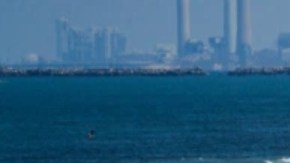 Una multitud de civiles huye de Ciudad de Gaza tras desatarse el asalto israelí.