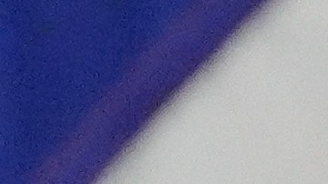 Pam Bondi alega que los gobiernos estatales se negaron a entregar listas de registro de votantes con información completa.