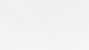 El joven fue arrestado junto a otro acompañante, bajo el cargo de tráfico humano.