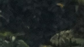 El tiroteo provocó una orden de refugio en el Distrito Escolar del Área de Spring Grove.