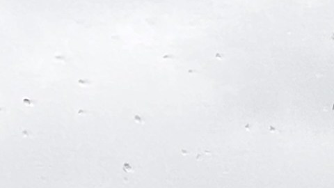 Desde el pasado 7 de mayo, los oficiales de TSA solicitan a viajeros domésticos una licencia de conducir que integre un Real ID.