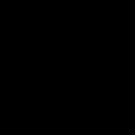 Vides, de 44 años, se encuentra detenido en la cárcel del condado de Harris con una fianza de $145,000 dólares.