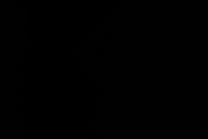 Vides, de 44 años, se encuentra detenido en la cárcel del condado de Harris con una fianza de $145,000 dólares.