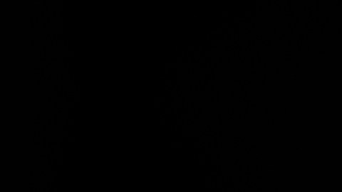 Vides, de 44 años, se encuentra detenido en la cárcel del condado de Harris con una fianza de $145,000 dólares.