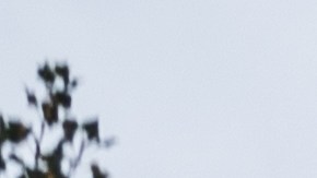 La Administración Federal de Aviación (FAA) envió funcionarios al sitio del siniestro para iniciar la investigación que determinará las causas del accidente.