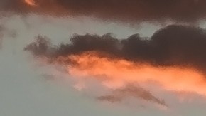 La búsqueda del responsable continúa, mientras los organizadores ofrecen una recompensa de 10.000 dólares por información.