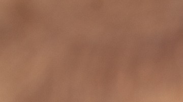 Según la investigación, el revólver fue tomado de la habitación del tío del niño