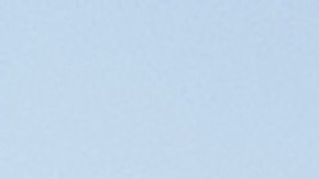 El ataque se suma a una serie de encuentros recientes con tiburones en los Cayos de Florida.