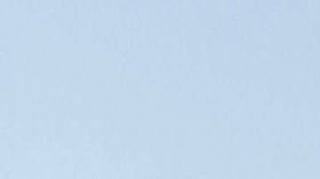 El ataque se suma a una serie de encuentros recientes con tiburones en los Cayos de Florida.