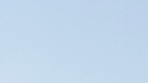 El ataque se suma a una serie de encuentros recientes con tiburones en los Cayos de Florida.