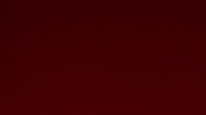 Hasta ahora, las autoridades no han revelado un posible motivo para el crimen.