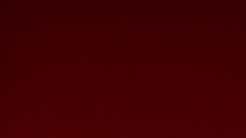 Hasta ahora, las autoridades no han revelado un posible motivo para el crimen.