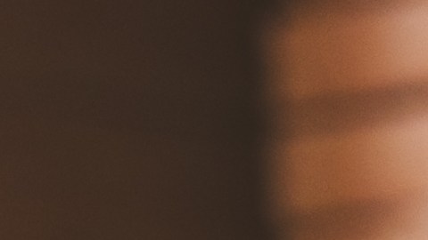 Se espera que las primeras MacBook con pantalla táctil lleguen al mercado el próximo año