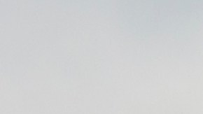 El refugio alberga unos 75 perros y gatos, que debieron ser reubicados temporalmente en hogares de acogida.