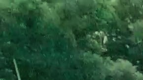 Algunos expertos han planteado la posibilidad de instalar paneles solares de forma masiva en carreteras y autopistas en espacios urbanos