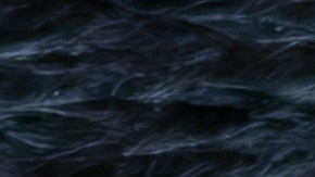 El ataque ocurrió en la zona de Mulberry Mountain, donde Vernon Patton realizaba labores al aire libre.