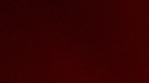 Un hombre tiroteó desde una embarcación a una multitud en un establecimiento cerca de la costa en Carolina del Norte.