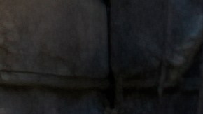 Tras el incidente, todas las visitas guiadas quedaron suspendidas hasta nuevo aviso