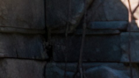 Tras el incidente, todas las visitas guiadas quedaron suspendidas hasta nuevo aviso