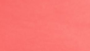 Algunos signos chinos destacan por ser encantadores.