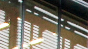 Trump demandó a The New York Times por lo que calificó de difamación.