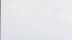 La medida busca facilitar el trámite y verificación de visas solicitadas para trabajadores agrícolas inmigrantes.