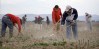 La medida busca facilitar el trámite y verificación de visas solicitadas para trabajadores agrícolas inmigrantes.