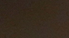 Donald Trump omitió mencionar que las víctimas del ataque eran inmigrantes y el autor se trató de un ciudadano estadounidense.