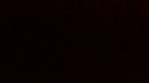 En su discurso, el mandatario definió a Kirk como "uno de los más grandes patriotas" del país.