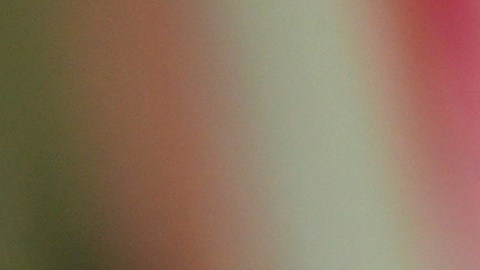 ONG insiste que EE.UU. no puede matar sumariamente a personas a quienes acusan de traficar droga.