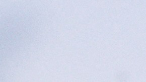 Según la solicitud, el presupuesto se usaría para proteger a los poderes ejecutivo y judicial.