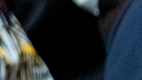 Trump se reunió con su homólogo ucraniano en Nueva York, al margen de 80a sesión de la Asamblea General de Naciones Unidas.