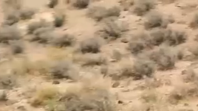 Leonidas ya fue probado con éxito por el Pentágono en una presentación en la que logró destruir decenas de drones